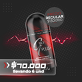 XS Special edition™ CARBLOCKER X 6 UNIDADES